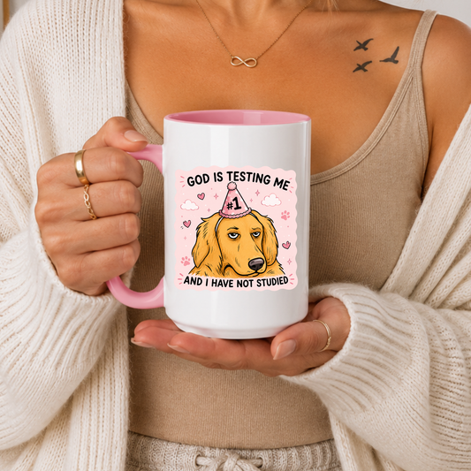 Funny Student Mug, God Is Testing Me Mug, Exam Stress Mug, Funny Dog Mug, Relatable Mug, College Gift Mug, Funny Quote Mug, Dog Lover Gift