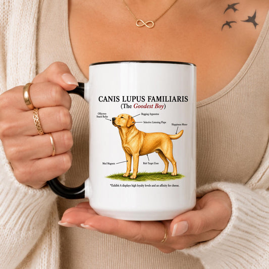 Funny Dog Anatomy Mug, Canis Lupus Familiaris Coffee Cup, Goodest Boy Gift